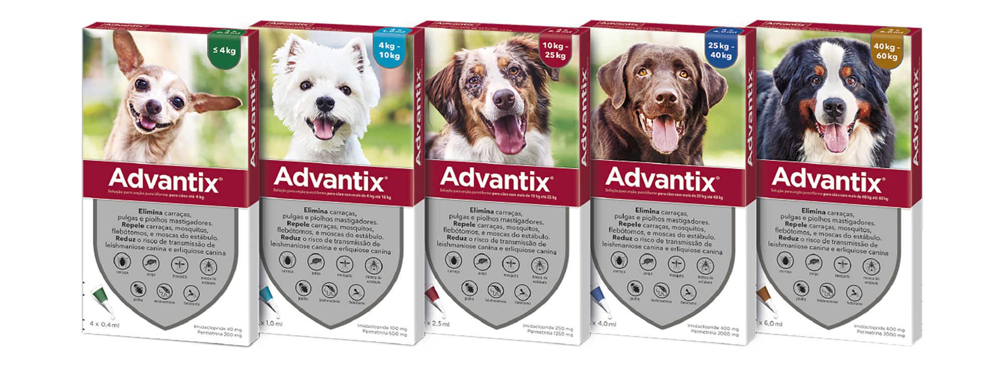 Advantix antiparasitário cães e gatos